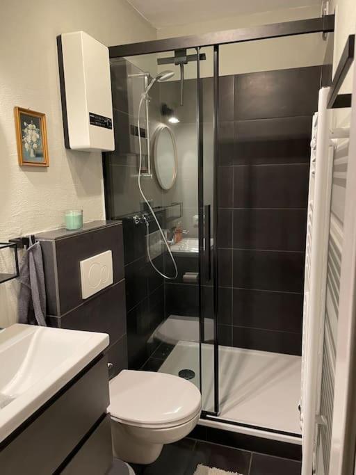 #1 Studioapartment Mit Loreleyblick Direkt An Der Schoensten Etappe Des Rheinsteigs Patersberg Екстериор снимка
